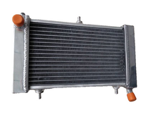 Load image into Gallery viewer, GPI Aluminum radiator & red hose For 1995-2010 Aprilia RS125 RS 125 Tuono 125 PY RD SF MP 1996 1997 1998 1999 2000 2001 2002 2003 2004 2005 2006 2007 2008 2009