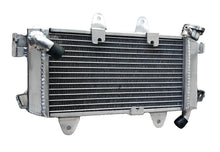 Load image into Gallery viewer, GPI ALUMINUM RADIATOR& HOSE FOR 390 Duke 373.2cc ABS RC 390 LC4 2017 2018
