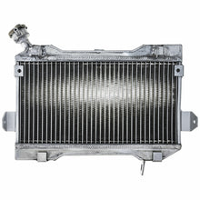 Load image into Gallery viewer, GPI Aluminum Radiator + Hose FOR 2006-2009 Suzuki Quadracer 450 LTR450 LT450R /LTR 450 LT 450 R 2006 2007 2008 2009