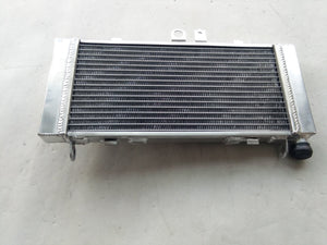 GPI Aluminum radiator & fan FOR 2002-2007 Honda CB900F 919 Hornet 900  2003 2004 2005 2006