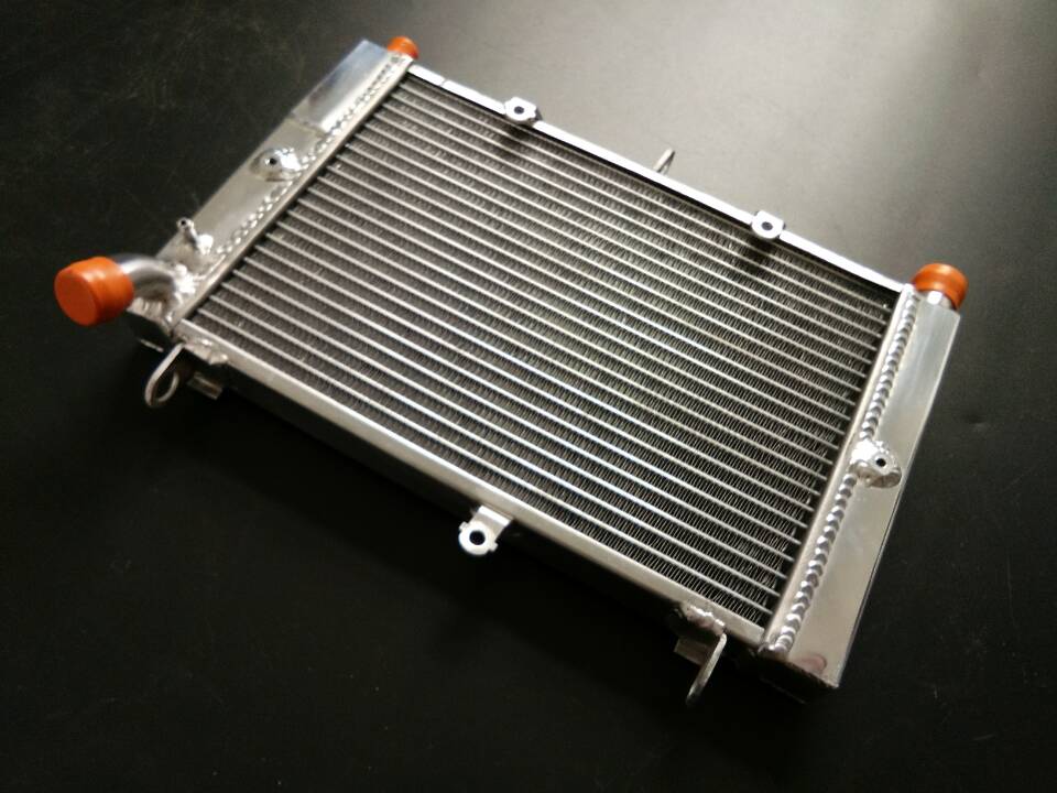 GPI Aluminum Radiator For Yamaha FZS1000 RN06 FZ1 FZ1S FZ1T FZ 1 Fazer ...