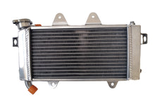 Load image into Gallery viewer, GPI Aluminum Radiator Fit  390 Duke Black/White ABS; 390 RC 2014 2015 2016
