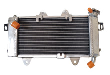 Load image into Gallery viewer, GPI Aluminum Radiator Fit  390 Duke Black/White ABS; 390 RC 2014 2015 2016
